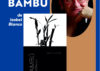 A escritora Isabel Blanco presenta en primicia en Ponteareas o seu novo traballo, ‘Bambú’